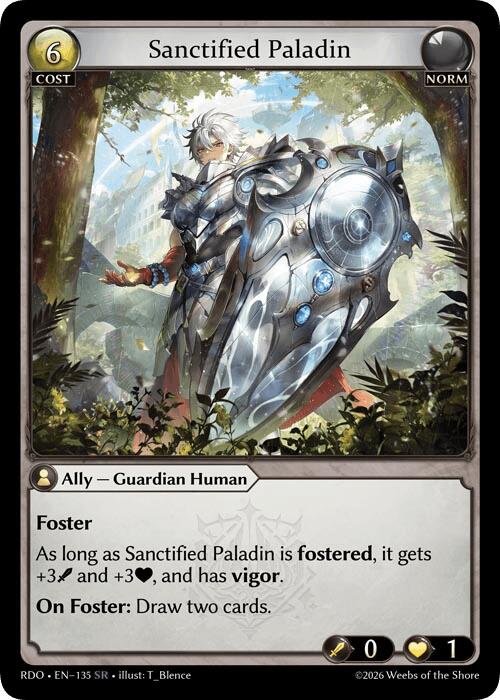 Sanctified Paladin