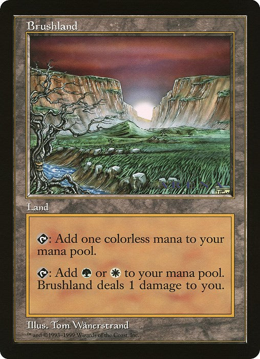 Brushland (Arena League)