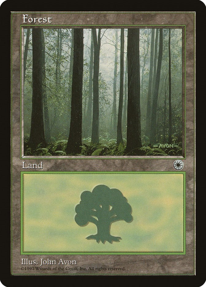 Forest (Ferns on Ground)