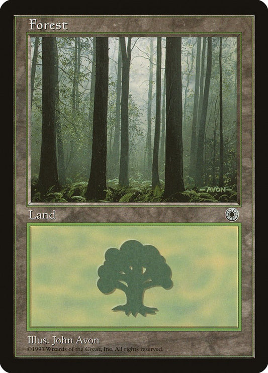 Forest (Ferns on Ground)