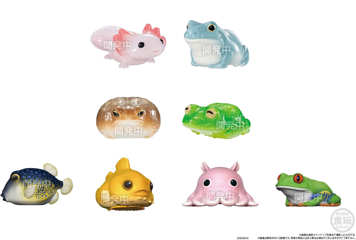 Glossy Tenori Friends: Amphibians & Sea Creatures blind box