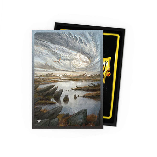 Dragon Shield Sleeves: Standard DUAL- Matte 'MTG Landfall Series