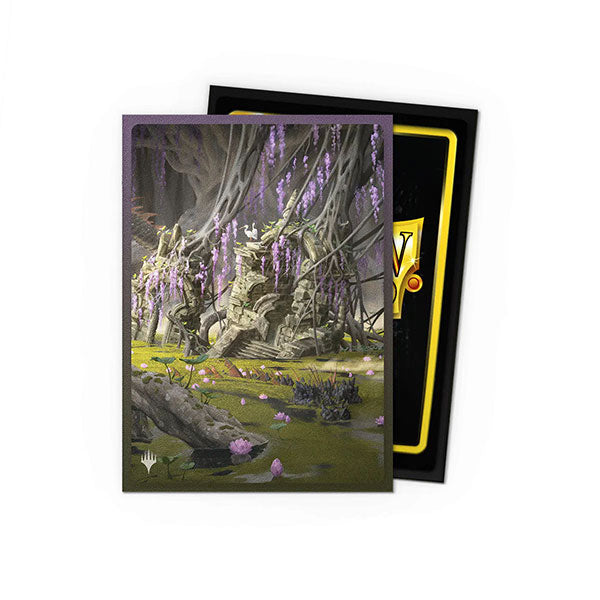 Dragon Shield Sleeves: Standard DUAL- Matte 'MTG Landfall Series